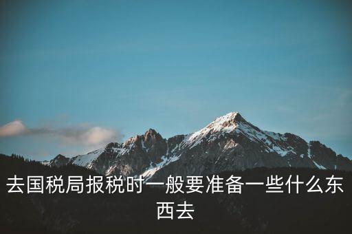 去國稅局報(bào)稅時(shí)一般要準(zhǔn)備一些什么東西去