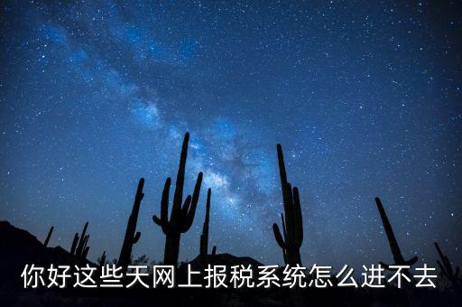 為什么個稅系統(tǒng)打不開，你好這些天網(wǎng)上報稅系統(tǒng)怎么進不去