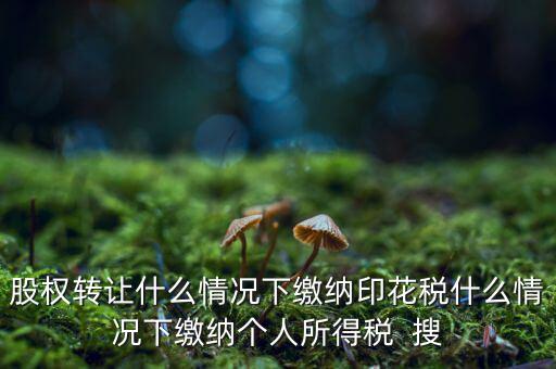 股權(quán)轉(zhuǎn)讓什么情況下繳納印花稅什么情況下繳納個(gè)人所得稅  搜