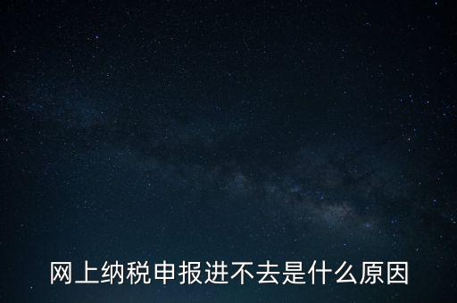 網(wǎng)上納稅申報進不去是什么原因