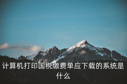 計算機打印國稅繳費單應下載的系統(tǒng)是什么