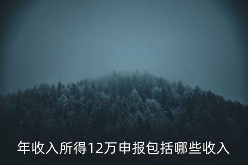 十二萬申報是什么，12萬個稅申報有什么用