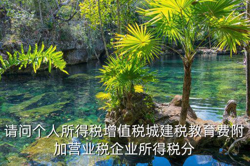 請問個人所得稅增值稅城建稅教育費(fèi)附加營業(yè)稅企業(yè)所得稅分