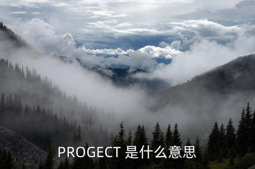 PROGECT 是什么意思