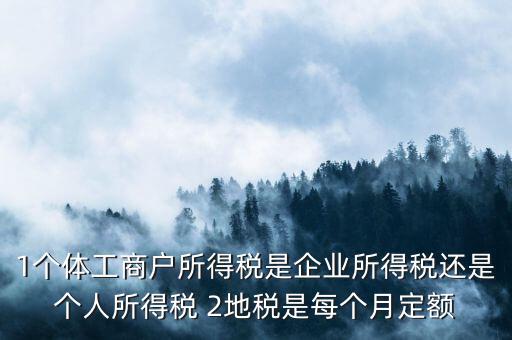 1個(gè)體工商戶所得稅是企業(yè)所得稅還是個(gè)人所得稅 2地稅是每個(gè)月定額