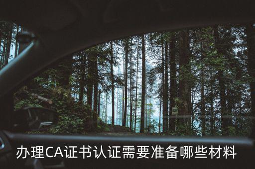 升級(jí)ca需要什么情況，中國銀行個(gè)人網(wǎng)銀中銀E盾CA證書更新操作步驟是什么