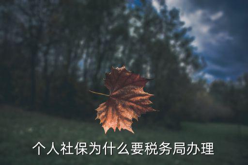 社會(huì)保險(xiǎn)繳納和稅務(wù)局什么關(guān)系，社保為什么要稅務(wù)部門征收