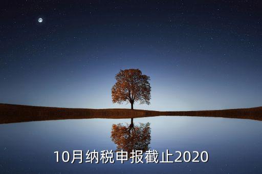 10月申報(bào)期到什么時(shí)候，2021年十月份報(bào)稅期延遲到幾號(hào)