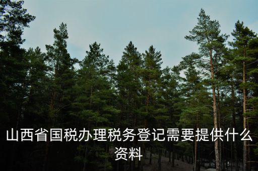 山西省國稅辦理稅務登記需要提供什么資料