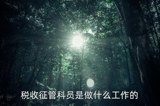 國稅局征管員和企業(yè)要做什么，稅收征管的公務員主要做什么工作