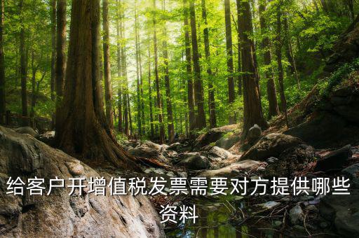 給客戶開增值稅發(fā)票需要對(duì)方提供哪些資料