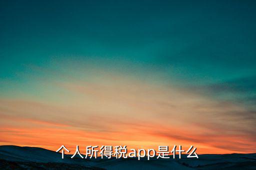 網(wǎng)上交稅要下載什么東西，個(gè)人所得稅官網(wǎng)登錄企業(yè)個(gè)人所得稅要下載什么端口申報(bào)