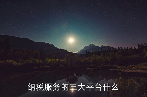 納稅服務(wù)的三大平臺什么