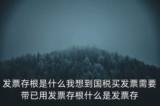 發(fā)票電子存根是什么，發(fā)票存根是什么