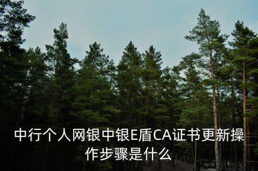 中行個(gè)人網(wǎng)銀中銀E盾CA證書更新操作步驟是什么