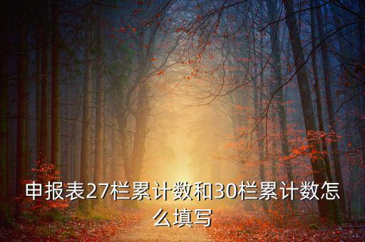 什么是期初未繳稅額，申報表27欄累計數(shù)和30欄累計數(shù)怎么填寫