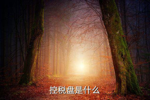 稅控盤是什么，稅控發(fā)票開(kāi)票軟件 和金稅盤是什么意思