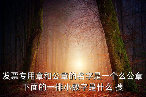 發(fā)票專用章和公章的名字是一個(gè)么公章下面的一排小數(shù)字是什么 搜