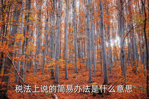 稅法上說(shuō)的簡(jiǎn)易辦法是什么意思