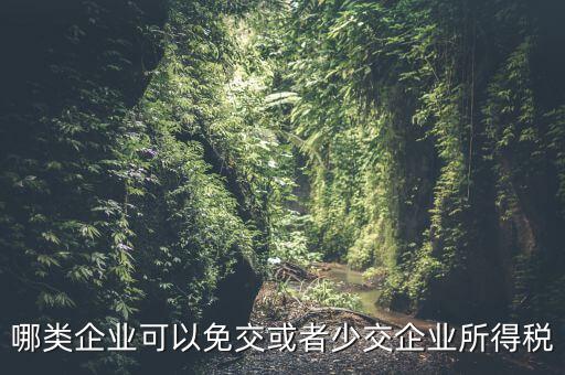 什么情況下企業(yè)可以減免稅收，哪類企業(yè)可以免交或者少交企業(yè)所得稅