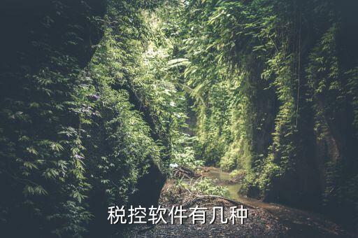 控稅軟件針對(duì)什么，稅控軟件有幾種