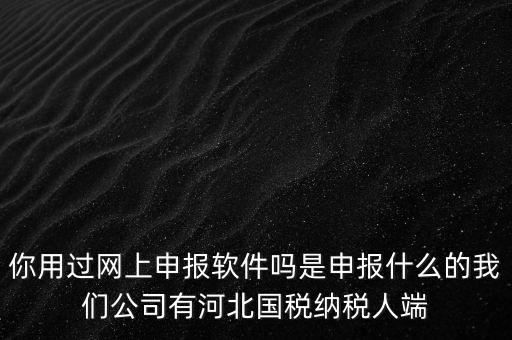 你用過網上申報軟件嗎是申報什么的我們公司有河北國稅納稅人端