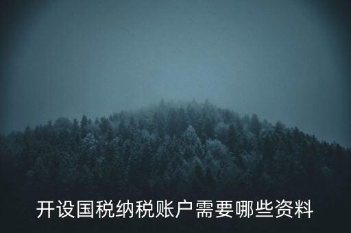 開國稅都需要帶什么資料，開設(shè)國稅納稅賬戶需要哪些資料