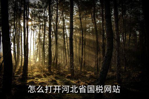 河北稅務官網(wǎng)是什么意思，怎么打開河北省國稅網(wǎng)站