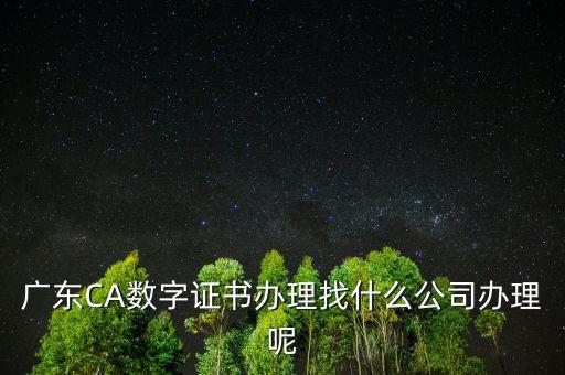 廣東CA數(shù)字證書(shū)辦理找什么公司辦理呢