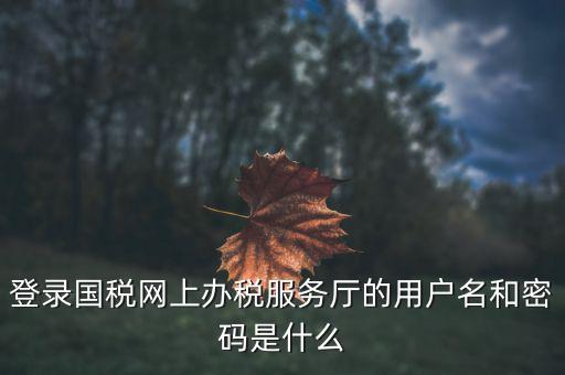 報(bào)稅企業(yè)用戶名是什么，登錄國稅網(wǎng)上辦稅服務(wù)廳的用戶名和密碼是什么