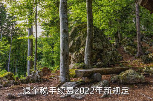 退個稅手續(xù)費2022年新規(guī)定