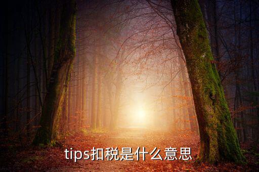 國(guó)稅tips系統(tǒng)指什么意思，電子對(duì)賬單上摘要一欄寫有tips是什么意思