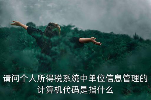 請(qǐng)問(wèn)個(gè)人所得稅系統(tǒng)中單位信息管理的計(jì)算機(jī)代碼是指什么