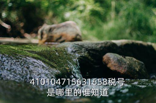 河南省的稅號是什么意思，410104715631658稅號是哪里的誰知道