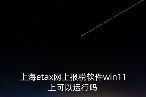 上海網(wǎng)上報稅什么軟件，上海etax網(wǎng)上報稅軟件win11上可以運行嗎