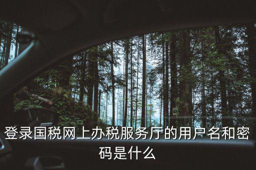 登錄國稅網(wǎng)上辦稅服務廳的用戶名和密碼是什么