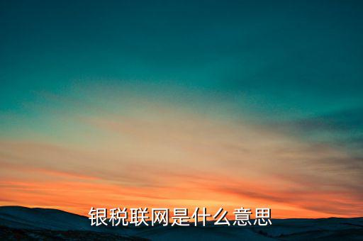 銀稅聯(lián)網(wǎng)是什么意思