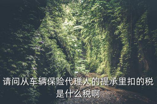 請(qǐng)問(wèn)從車(chē)輛保險(xiǎn)代理人的提承里扣的稅是什么稅啊