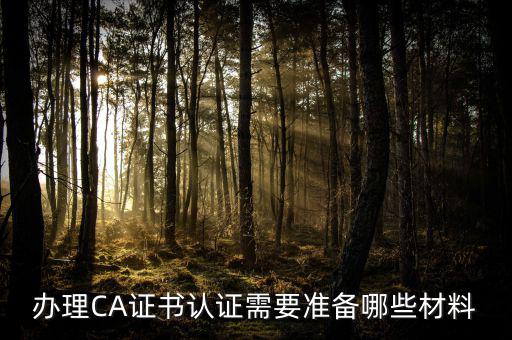 辦理CA證書認證需要準備哪些材料