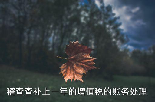 稽查補(bǔ)什么稅，請問被國稅局稽查局查處補(bǔ)交增值稅所得稅及滯納金計(jì)入應(yīng)哪個(gè)科目