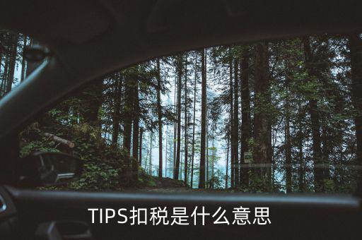 tips扣款什么意思，tips扣稅是什么意思