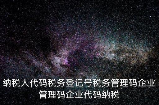 納稅人管理代碼是什么，納稅人代碼稅務登記號稅務管理碼企業(yè)管理碼企業(yè)代碼納稅