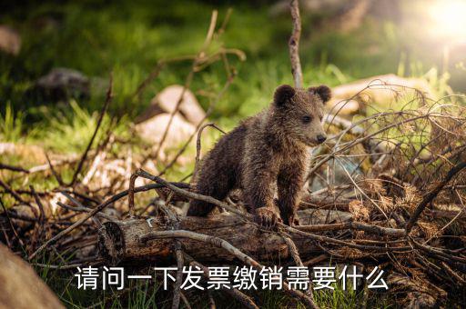 發(fā)票繳銷要需要帶什么，去國稅注銷發(fā)票需要帶什么呢