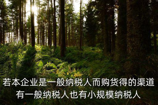 若本企業(yè)是一般納稅人而購貨得的渠道有一般納稅人也有小規(guī)模納稅人