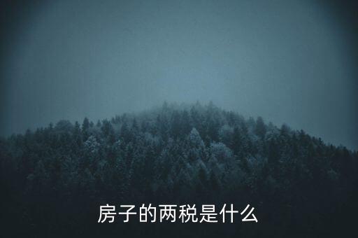 兩稅清查是指什么，房子的兩稅是什么