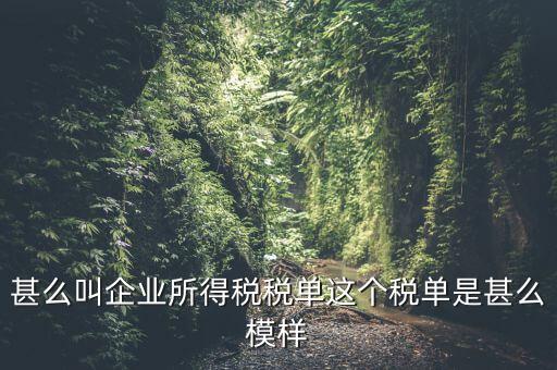 企業(yè)所得稅稅單是什么，稅單是什么怎樣提供稅單