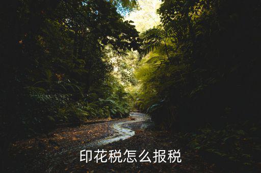 印花稅怎么報(bào)稅