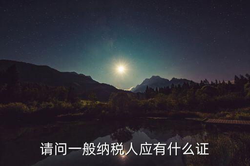 請問一般納稅人應(yīng)有什么證