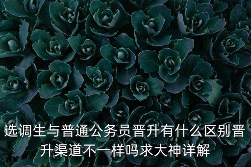 選調生與普通公務員晉升有什么區(qū)別晉升渠道不一樣嗎求大神詳解