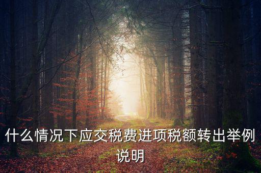 什么情況下應(yīng)交稅費進(jìn)項稅額轉(zhuǎn)出舉例說明